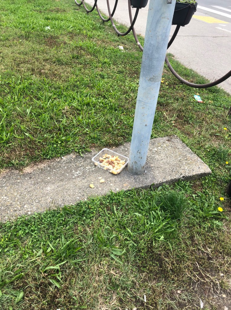 Dog food